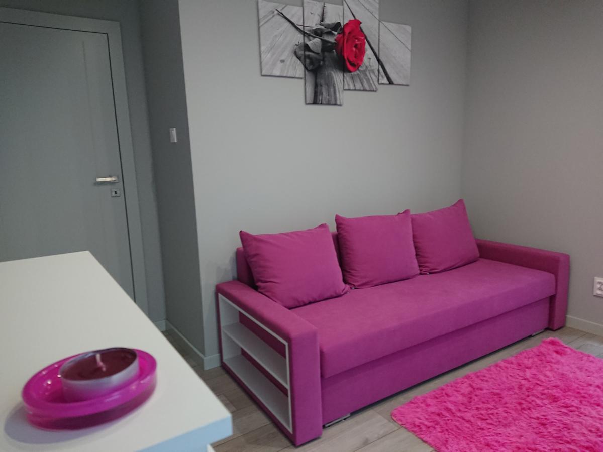凯尔采Apartament Exclusive公寓 外观 照片